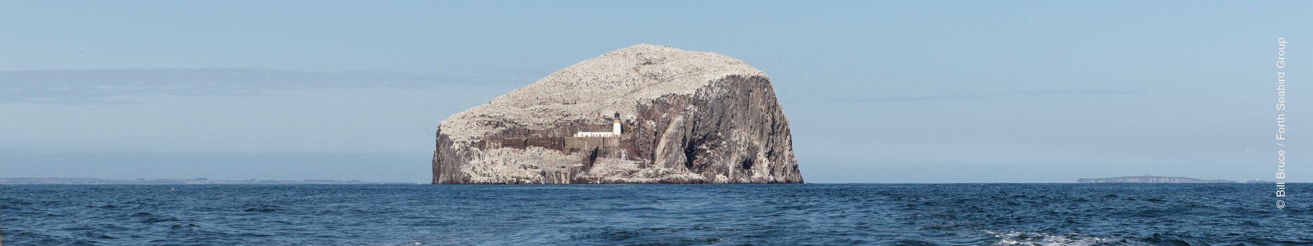 View of the Bass Rock from the south