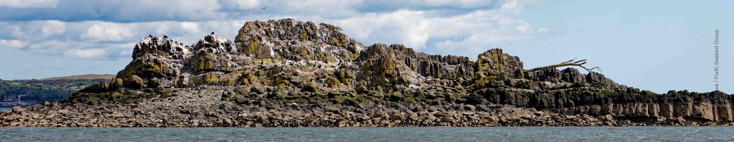 Carr Craig from the west