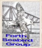 Forth Seabird Group logo