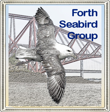 Forth Seabird Group logo